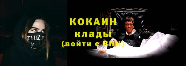 PSILOCYBIN Корсаков