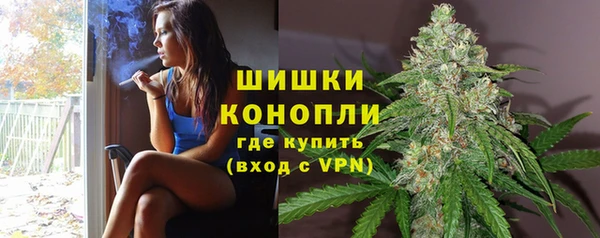 PSILOCYBIN Корсаков