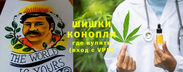 PSILOCYBIN Корсаков